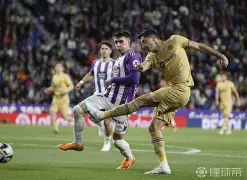 包含弗伦斯堡球员陷入伤病波，困扰球队的词条